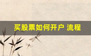 买股票如何开户 流程是什么(买股票怎么开户需要多少钱)_https://www.gen-fastener.com_广期所_第1张